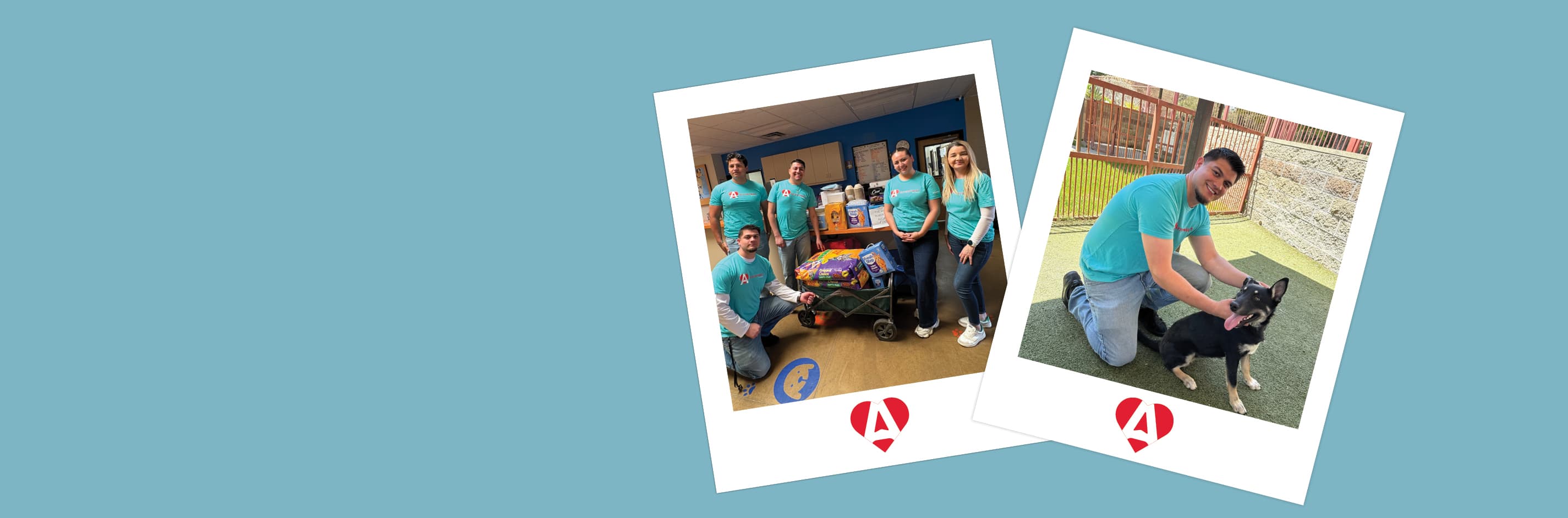 Team Members Volunteering