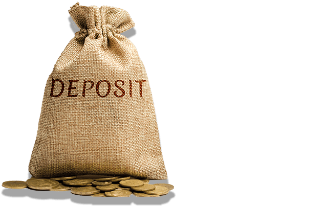 Coins and deposit bag